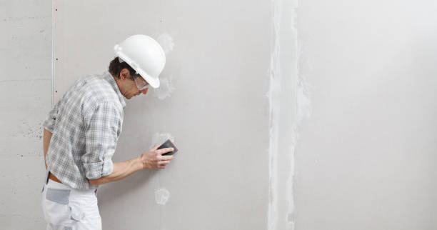 Best Mold Documentation for Insurance Claims  in Clarksville, IA